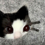 maggie :P