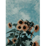 Happy_cool_ Group123