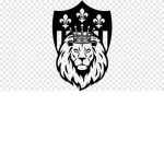 #THE LIONS