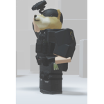 Doge gang R