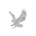 Allied Defense Services