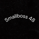 Small boss Fan Group