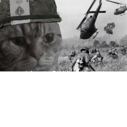 ВОЙНА МЕМОВ WAR OF MEME icon