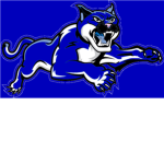 ❖San Diego Wildcats football-]❖