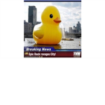 spongestar33's Group