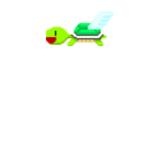 Flying Turtles Squad