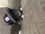 KITNM
