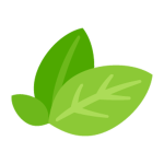 Jaga Plants