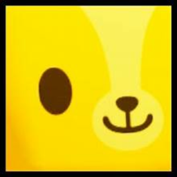 PET EXSPLORE Z