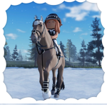 Sunflower Ranch