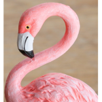 FlAMINGOS YES