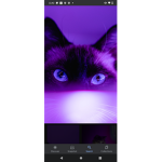 Teampurple squad