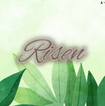 {Risen}