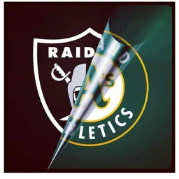 FOOTBALL 4 LIFE icon