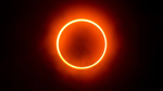 Eclipse Forcify
