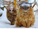 viking cats