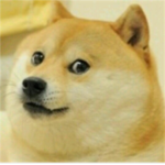 DOGE SQUAD #ARMY