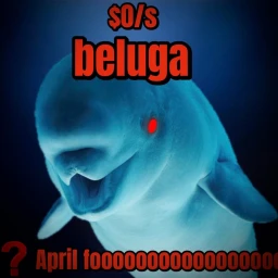 beluga 🌸🐣 icon