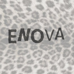 enova.