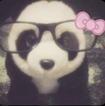 Stacy5920 Panda