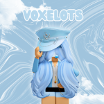 Voxelots