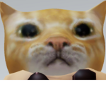 The real el gato