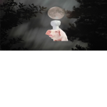 MrScaryPigChef