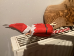 elf’s are cheeky