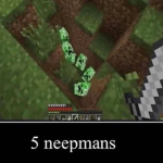 5 neepmans
