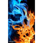 TeamDragonFire_God