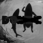 dou̶b̶t̶