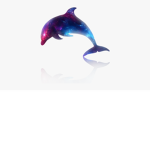 The Danish Dolphins