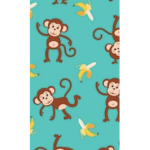 Monkey vs Human
