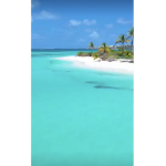Tropical winds
