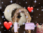 Guinea pig fantasy