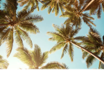 layla_awesome_group