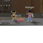 Midnight Starss