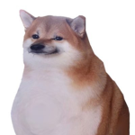 DOGE ARMY bark