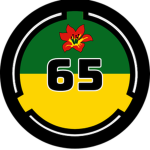 SCP: Directorate of Task Forces