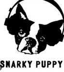 SNARKY PUPPY GAMING