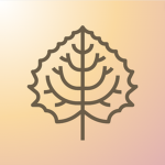 Aspen Technology's