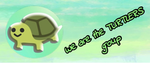 Do you love turtles group