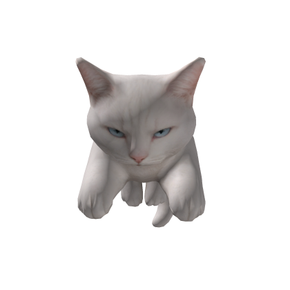  Funny Kawaii Cat Hat Head :3
