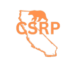 California State Roleplay I Fun I Realistic