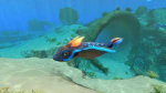 rabbit ray club