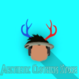 Aesthetic Clothing Store