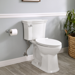 Toilet Vs Camera