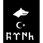 Gokturk empire