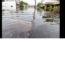 Brookhaven Underwater