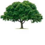 DeforestationCommunity